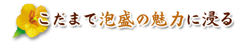 泡盛の魅力に浸る