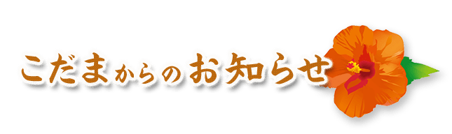 こだまからのお知らせ