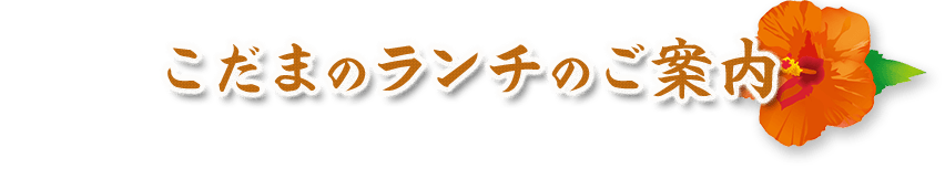 こだまのランチのご案内